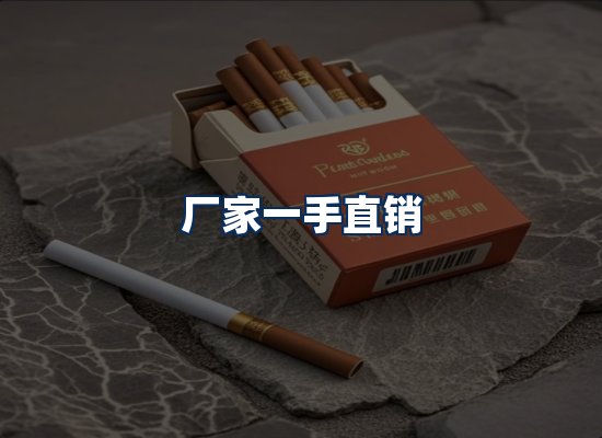 专业团队办公环境